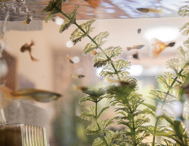 ライフコミューンいずみ中央 エントランスホール