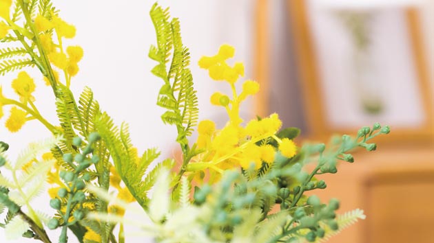 ライフコミューン登戸　イメージ