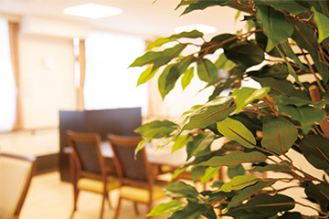 リアンレーヴ豊川中条 イメージ